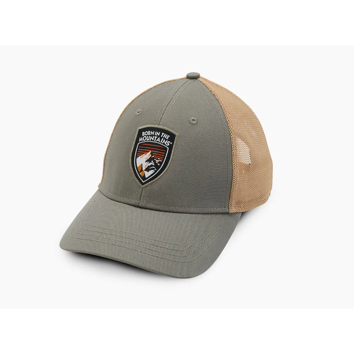 Born Trucker - Image 4